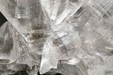 Glassy Selenite Crystal Cluster - Naica Mine, Mexico #325071-1